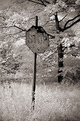 Decaying Stop Sign Wingdale, NY � Dave Hickey